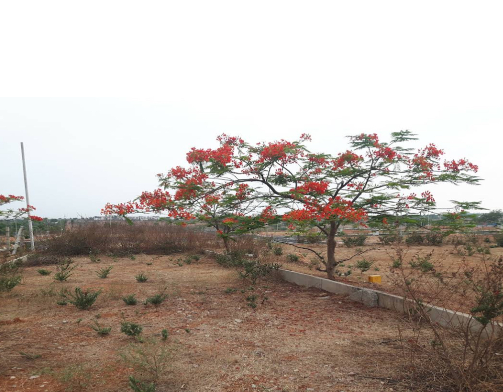 Suvarna Avani venture - Nandigma village , Hyderabad - Bangalore Highway